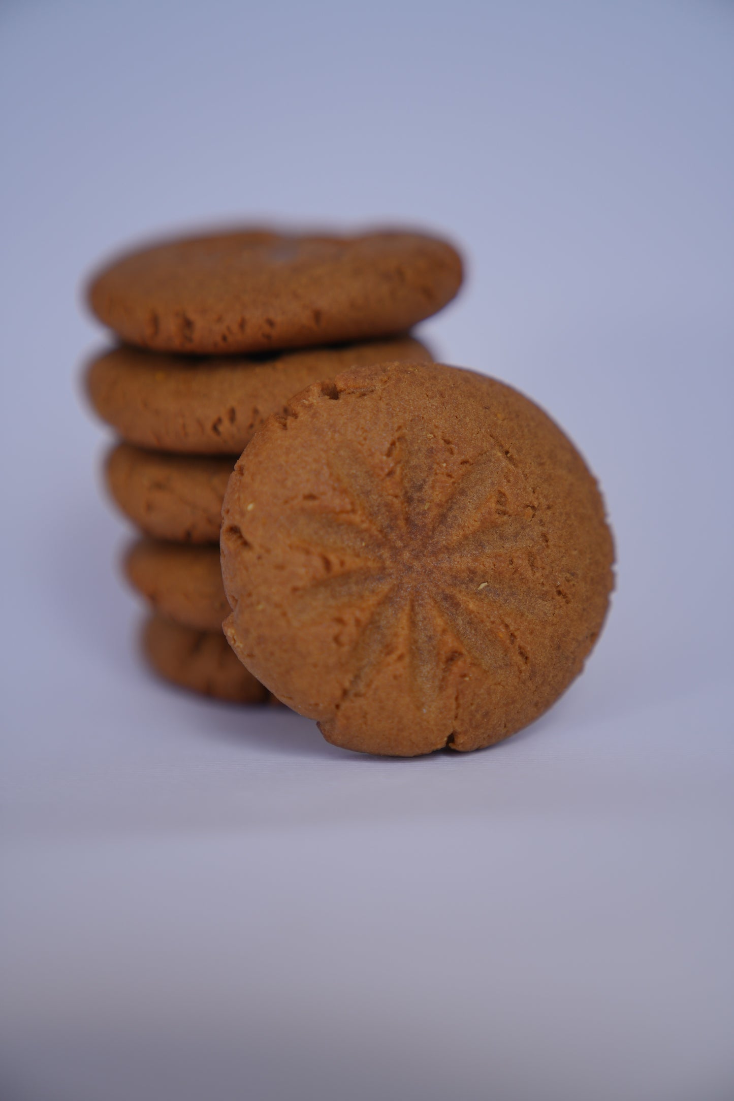 Molasses Cookies